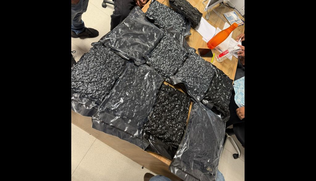 Hydroponic Marijuana Worth Rs 10.5 Crore Seized at Pune Airport