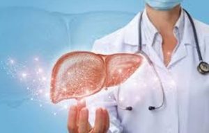 Liver Health and Digestive Balance