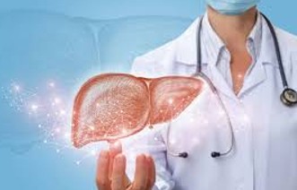 Liver Health and Digestive Balance