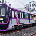 2,426 Trees Cut For Pune Metro; RTI Reveals No Current Data On Compensatory Plantation