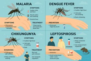 Monsoon ailments prevention