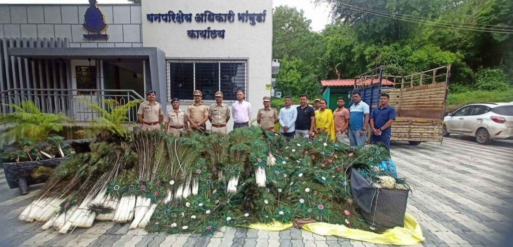 Peacock Feathers Seized in Pune