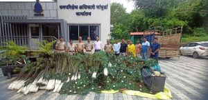 Peacock Feathers Seized in Pune