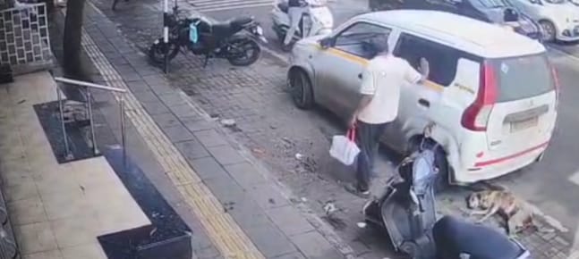 Sick Dog Crushed Twice Under Car in Pimpri-Chinchwad's Sangvi