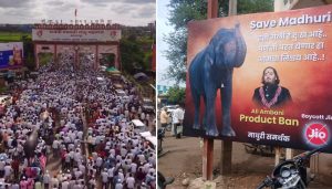 CM Fadnavis Promises Talks Amid Growing Demand to Bring Back Elephant Mahadevi from Vantara
