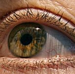 PBMA’s H V Desai Eye Hospital Performs Split-Cornea Transplant to Restore Sight for Two Patients