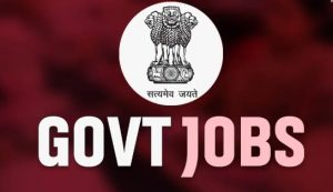 Government Job