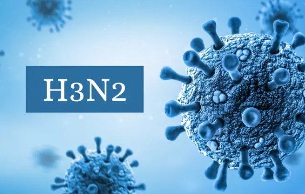 H3N2