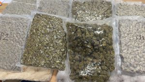 Hydroponic Marijuana Worth Rs 6.12 Crore Seized at Pune Airport