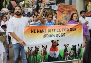 Indian Dogs Pune save protest