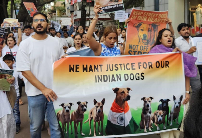 Indian Dogs Pune save protest