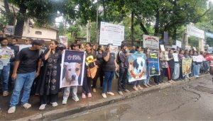 Pune Animal Lovers Protest Against Dog Killings in Delhi