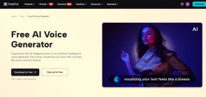 Video Editor