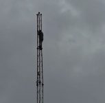 Pune: Wagholi Man Scales Tower to Press Demands, Returns Hours Later
