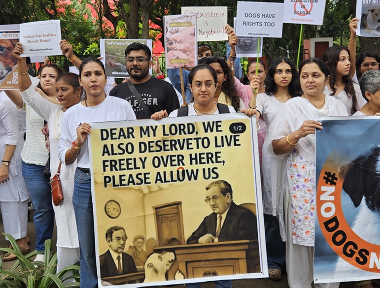 dog removal protest