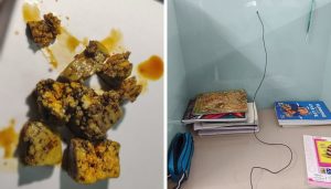 Dr. Babasaheb Ambedkar Boys Hostel Students Raise Complaints Over Water, Mess, and Internet Issues