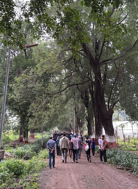 Nature trees pune students