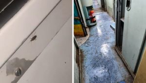 Unclean Linens, Rodents, Filthy Washrooms