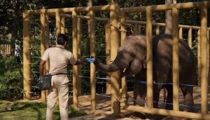 Vantara Puts People at the Heart of Animal Care