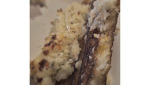 Live Worms Found in Cheese Toast at Kalyaninagar Irani Café