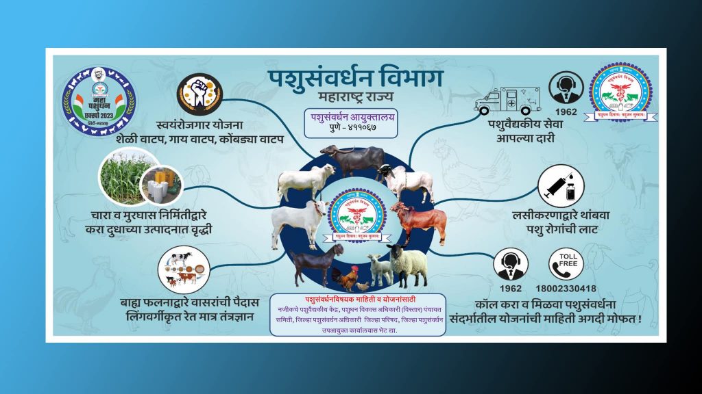 Animal Husbandry Department