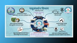 Animal Husbandry Department