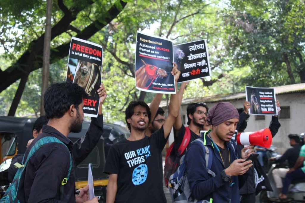Animal Lovers Rally in Pune After Superluminal’s Death