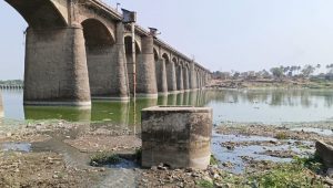 Godavari river