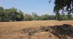 Government Land in Tathawade Sold for Rs 33 Crore