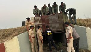 Leopard Sighting Reported Again At Pune Airport;