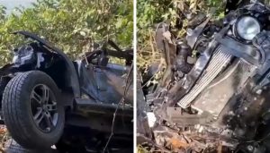 Pune’s Missing Thar Tracked in Tamhini Ghat;
