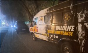 wildlife rescue ambulance