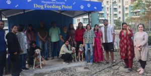 Hinjawadi Society Solved Stray Dog Concerns with a Simple Feeding Plan