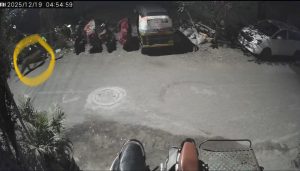 Leopard Spotted Again in Keshav Nagar