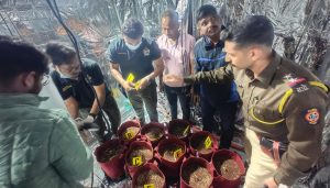 Pune Police Bust Marijuana Cultivation in Flat