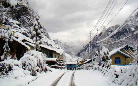 Winter Wonderland