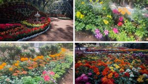 Empress Garden Flower Show