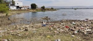 MPCB directs Kapurwadi Grampanchayat in Ahilyanagar to protect bird sanctuary lake
