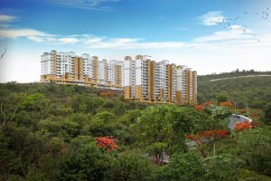 Paranjape Schemes