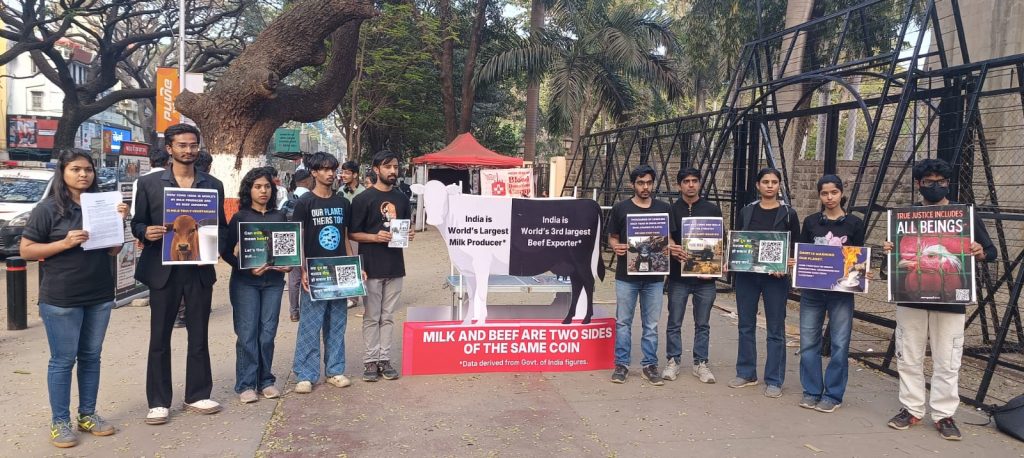 Pune Activists Highlight Connection Between Dairy Sector and Beef Trade