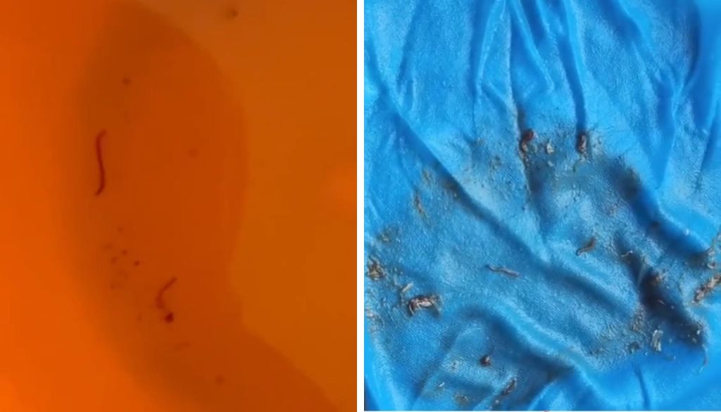 Shiv Sena Flags Larvae in Drinking Water in Mohammadwadi