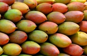 Totapuri Mango