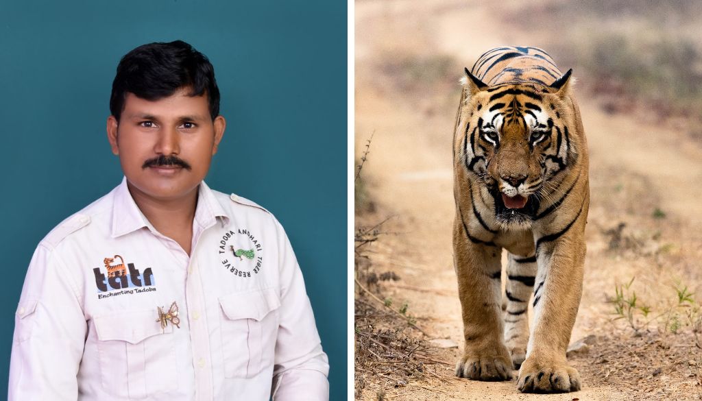 Wildlife Festival for Kids in Pune on January 10th