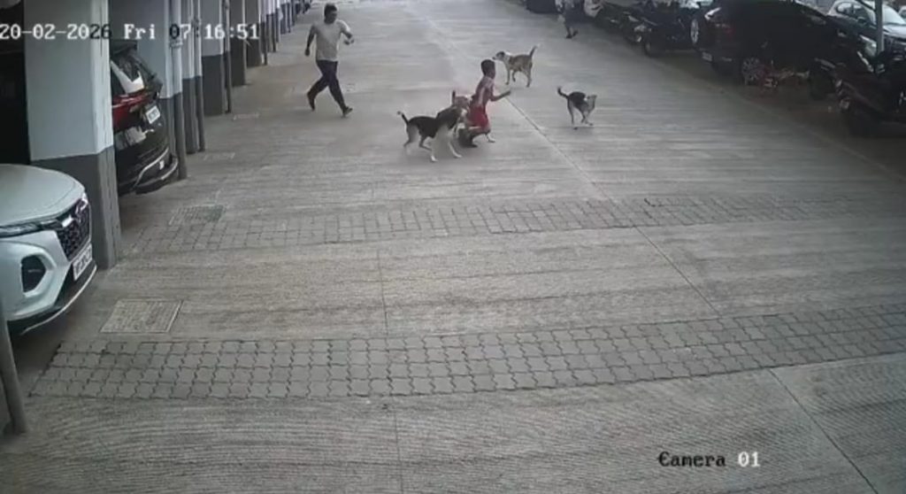 CCTV Captures Stray Dog Attack on Child in Kirkatwadi