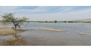 Maharashtra Govt Orders Probe Into Illegal Dumping at Kapurwadi Lake in Ahilyanagar