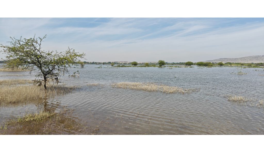 Maharashtra Govt Orders Probe Into Illegal Dumping at Kapurwadi Lake in Ahilyanagar