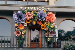 NIBM’s Popular Hangout Reinvents Itself as Pimlico 2.0