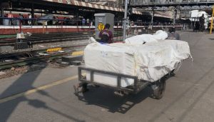 Pune Forest Department Seizes 640 kg of Wild Boar Meat at Railway Station