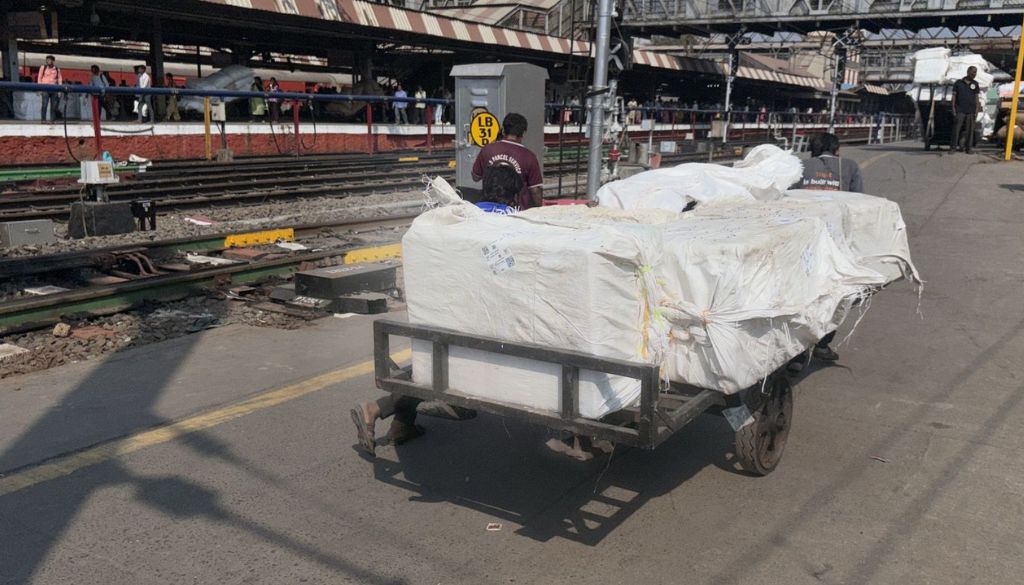 Pune Forest Department Seizes 640 kg of Wild Boar Meat at Railway Station