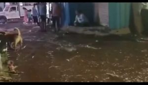 Canal Overflow Triggers Flooding in Manjari Budruk